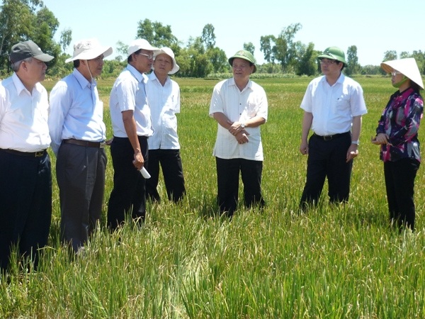 Bình Định đối phó với hạn hán chưa từng có trong lịch sử
