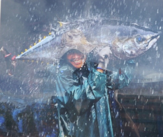 Các tác phẩm phản ánh sinh động, chân thực thiên nhiên, đất nước con người Việt Nam