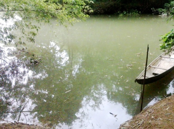 Trượt chân xuống sông, bé 5 tuổi tử vong - 1 Khu vực bến sông nơi cháu Tri trượt chân dẫn đến đuối nước.