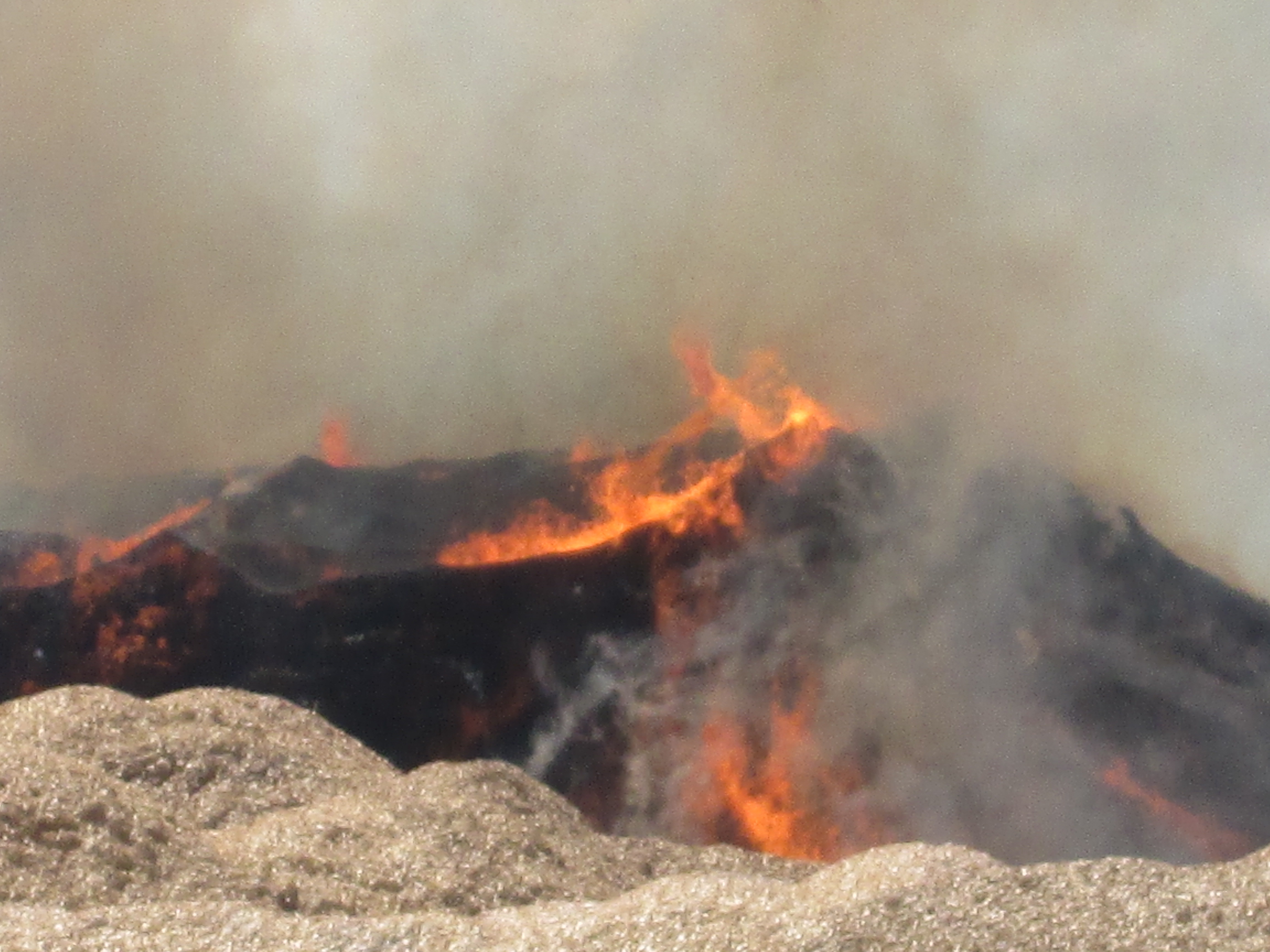 Bãi dăm gỗ trong Cảng Quy Nhơn bốc cháy dữ dội