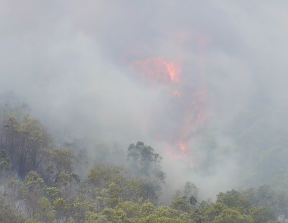 Sau đó nhanh chóng cháy lan sang các khu vực xung quanh