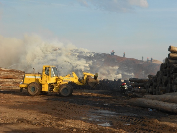 Dùng xe chuyên dụng chuyển gỗ đi nơi khác