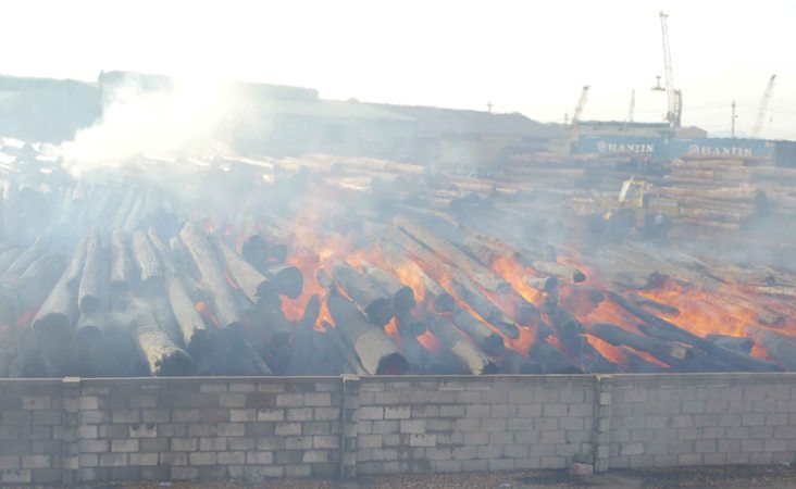 Các khối gỗ thành lò than