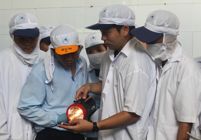 Dùng đèn pin để soi thịt cá