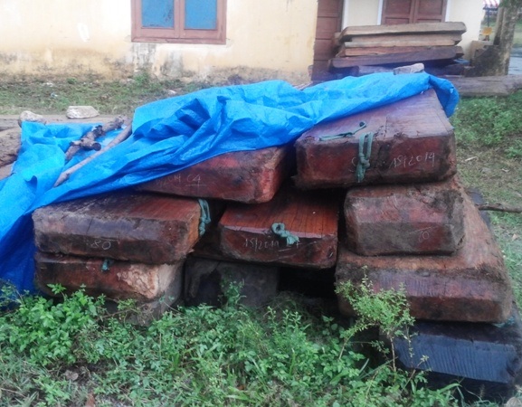 Mua bán trái phép gỗ trắc, doanh nghiệp bị phạt 100 triệu đồng - 1 Mua bán trái phép gỗ trắc, doanh nghiệp bị phạt 100 triệu đồng