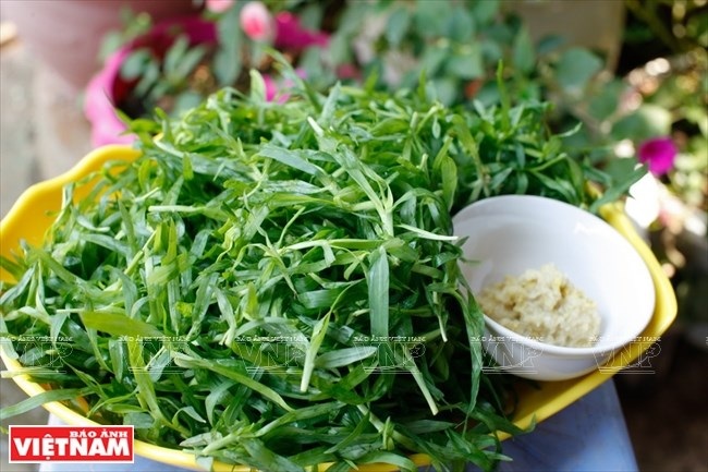 Về Quỳnh Nhai thưởng thức món “cỏ cố hương” của người Thái - 7 Cỏ miềng trầu một loại rau độc đáo của bà con người Thái ở Quỳnh Nhai. (Ảnh: Việt Cường/Báo Ảnh Việt Nam)
