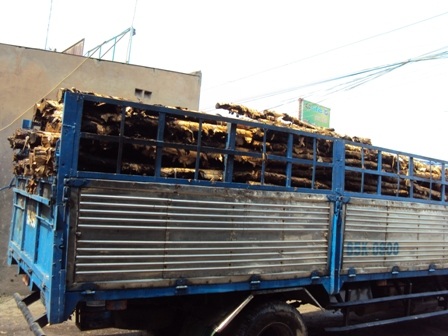 Cháy lớn tại xưởng chứa cự tràm - 3