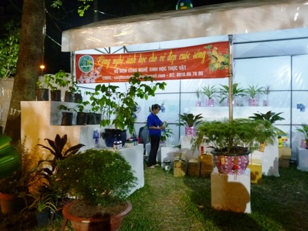 Đêm xuân dạo bước vườn hoa Tao Đàn - 9