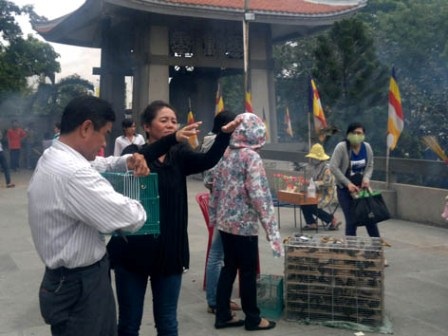 Phóng sanh để cầu mong phước lành