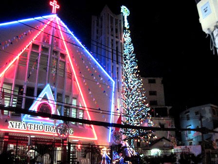 Cây thông cao đến nóc tháp chuông ở nhà thờ Hòa Hưng (đường Tô Hiến Thành, quận 10, TPHCM)