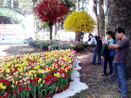 Khai mạc Hội hoa xuân Tao Đàn 2013 - 3 Giới trẻ chuộng hoa tulip, hoa lan.