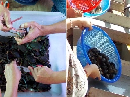 Đi tàu phóng sinh trên sông Sài Gòn - 7 Cua, ốc cũng được thả trong dịp này