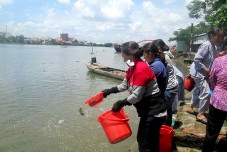 Phật tử chuẩn bị khai kinh tại chùa Phổ Quang (Q. Tân Bình) - ảnh: Hoàng Tidus