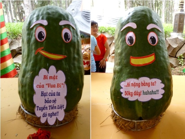 Những trái bí đao trong bộ sưu tập các loại củ quả khổng lồ được trang trí vui mắt