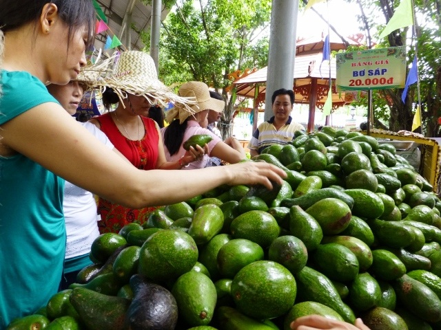 Chợ nổi trái cây là dãy thuyền nằm trên bờ tại khu vực hồ Lạc Cảnh