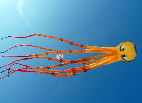 Diều đơn thả 1 dây (có khung và không khung) mang bản sắc riêng của các đội