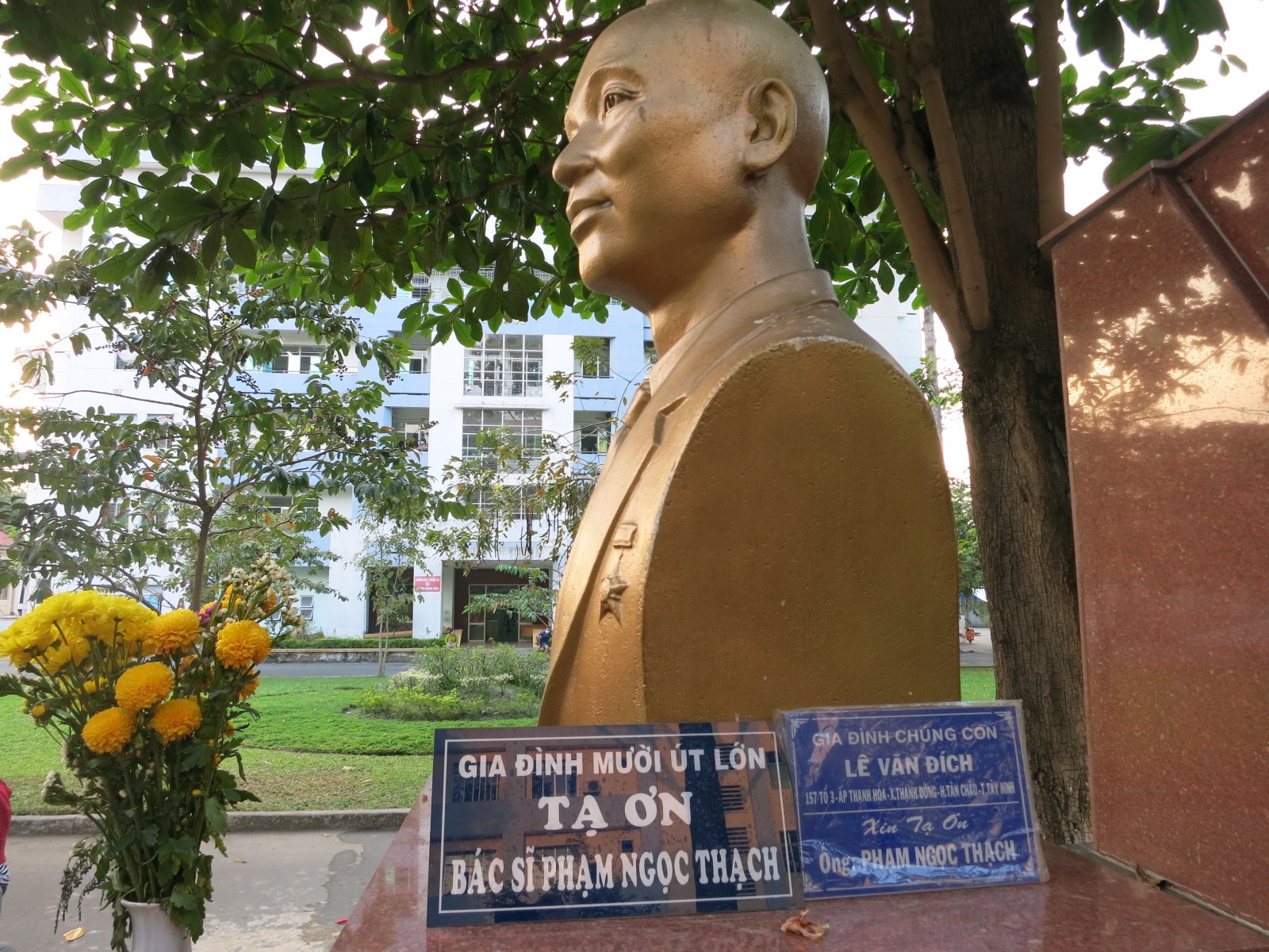 Y sơn trong vườn y đạo