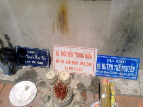 Y sơn trong vườn y đạo