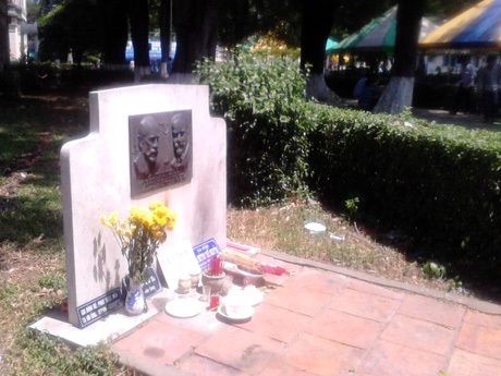 Y sơn trong vườn y đạo