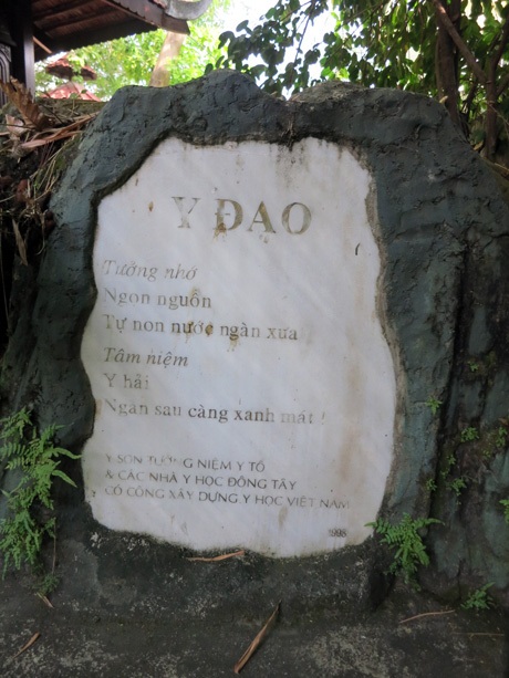 Y sơn trong vườn y đạo