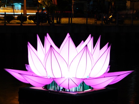 Ban đêm, hoa sen được thắp sáng mang vẻ đẹp lung linh, rực rỡ 