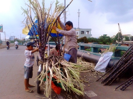 Xe mía cây của anh Thuận trên cầu Trường Đai bán hàng trăm cây mía mỗi ngày