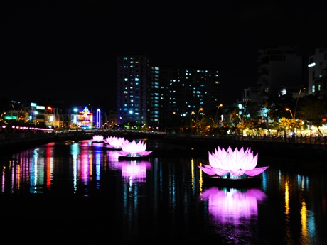 Ban đêm, hoa sen được thắp sáng mang vẻ đẹp lung linh, rực rỡ 