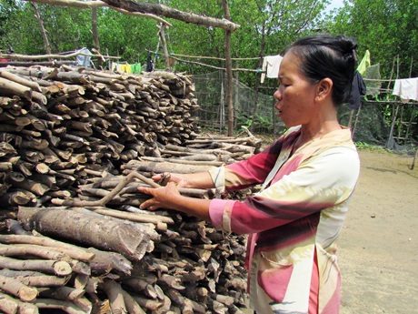 Chị Ngọc phải đi đốn thêm củi để kiếm thêm thu nhập