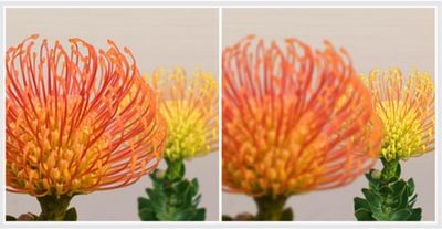 Công nghệ tạo cách mạng cho ngành nhiếp ảnh - 1