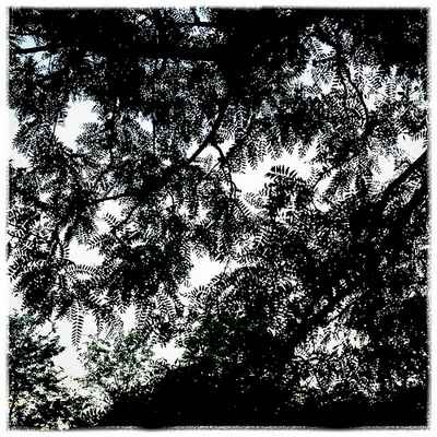 10 bức ảnh đẹp dưới “ống kính” smartphone Android - 8 10 bức ảnh đẹp dưới “ống kính” smartphone Android - 8