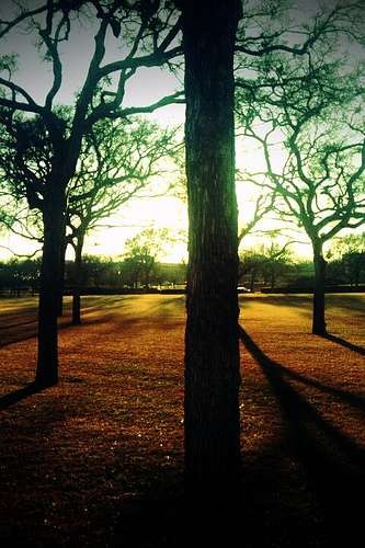 10 bức ảnh đẹp dưới “ống kính” smartphone Android - 9 10 bức ảnh đẹp dưới “ống kính” smartphone Android - 9