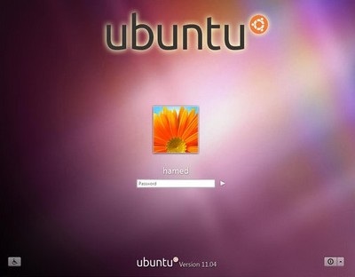 Ubuntuskin1_75bd4.jpg