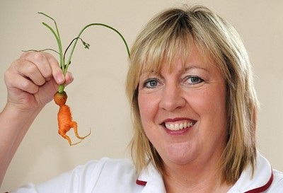 Củ cà rốt có hình thù người ngoài hành tinh - 1 Củ cà rốt có hình thù người ngoài hành tinh - 1