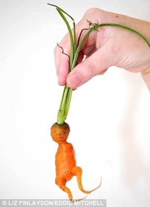 Củ cà rốt có hình thù người ngoài hành tinh - 2 Củ cà rốt có hình thù người ngoài hành tinh - 2