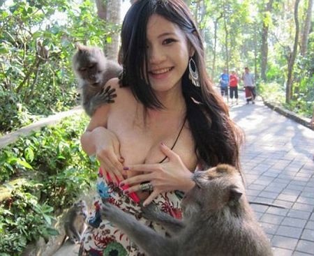 Nổi tiếng vì bị… khỉ “sàm sỡ” - 1 Nổi tiếng vì bị… khỉ “sàm sỡ” - 1