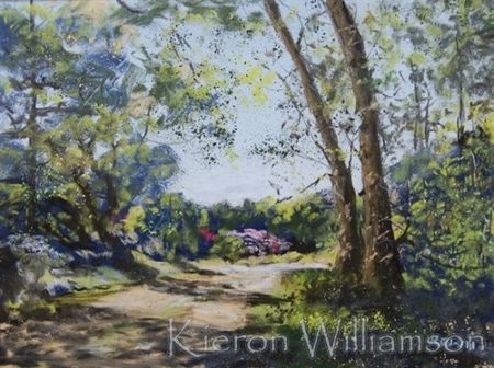 Thán phục trước tài năng vẽ tranh của cậu bé 9 tuổi - 3 Thán phục trước tài năng vẽ tranh của cậu bé 9 tuổi - 3