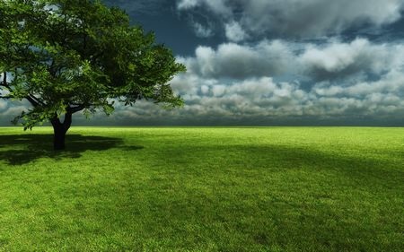 Tuyệt đẹp bộ sưu tập hình nền “đồng cỏ xanh” - 21 Tuyệt đẹp bộ sưu tập hình nền “đồng cỏ xanh” - 21