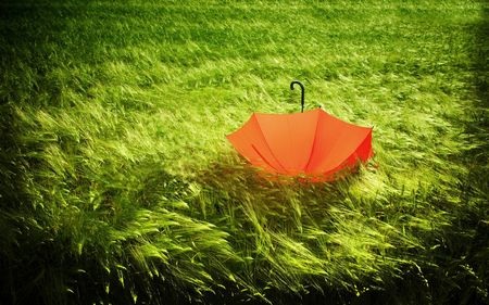 Tuyệt đẹp bộ sưu tập hình nền “đồng cỏ xanh” - 9 Tuyệt đẹp bộ sưu tập hình nền “đồng cỏ xanh” - 9