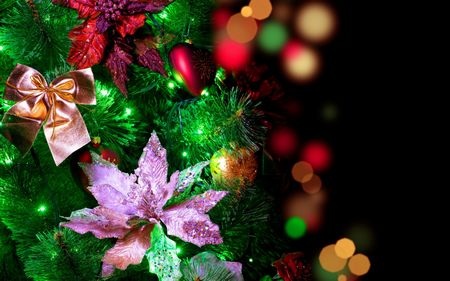 Mang sắc màu ngày lễ Noel đến với desktop - 5