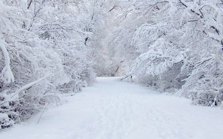 Sự tĩnh lặng và mê hoặc sẽ khiến bạn say mê với hình nền tuyết trắng. Hãy tận hưởng không khí lạnh giá của tuyết trắng và cảm nhận sự yên bình tuyệt vời với hình nền tuyết trắng. Đừng bỏ lỡ cơ hội để trang trí máy tính của bạn trở nên đẹp hơn với hình nền tuyết trắng.
