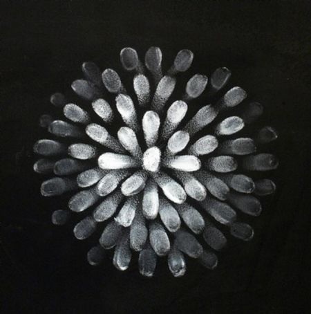 Vẽ tranh ấn tượng bằng 10 đầu ngón tay - 5 Vẽ tranh ấn tượng bằng 10 đầu ngón tay - 5