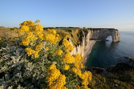 Nikon trình làng máy ảnh có độ phân giải lớn nhất thế giới - 4