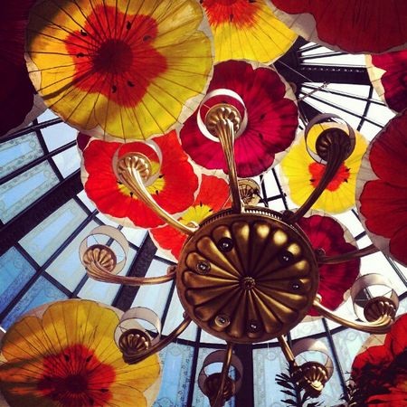 Ứng dụng chụp ảnh hot trên iOS đã có bản cho Android