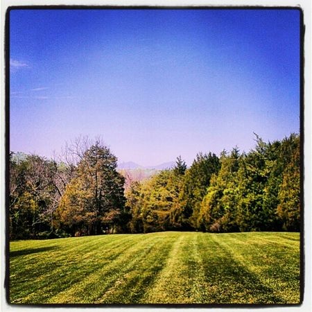 Ứng dụng chụp ảnh hot trên iOS đã có bản cho Android