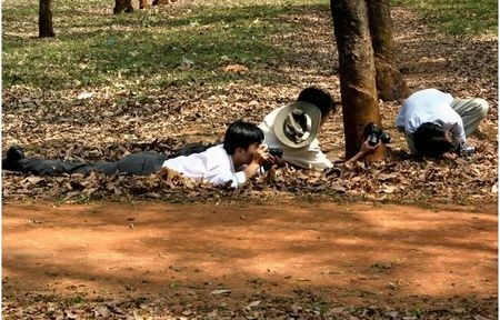 Những khoảnh khắc thú vị của nhiếp ảnh gia (Phần 3)