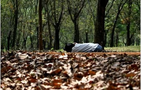 Những khoảnh khắc thú vị của nhiếp ảnh gia (Phần 3)