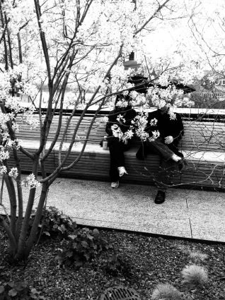 Những bức ảnh chuyển mùa đẹp ấn tượng chụp bằng iPhone