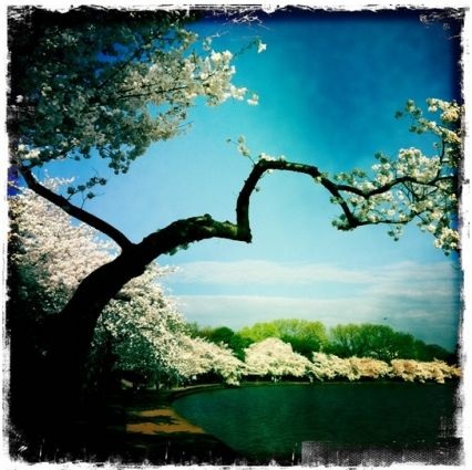 Những bức ảnh chuyển mùa đẹp ấn tượng chụp bằng iPhone