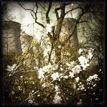 Những bức ảnh chuyển mùa đẹp ấn tượng chụp bằng iPhone