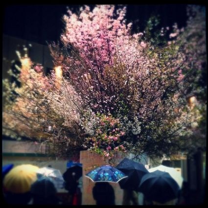 Những bức ảnh chuyển mùa đẹp ấn tượng chụp bằng iPhone